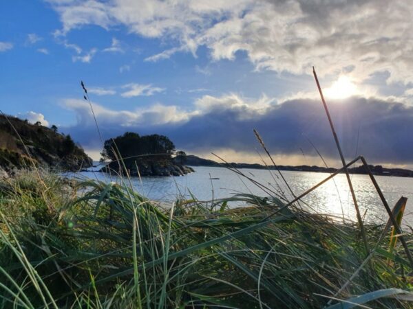 The beach, which is a few moments from our retreat accommodation