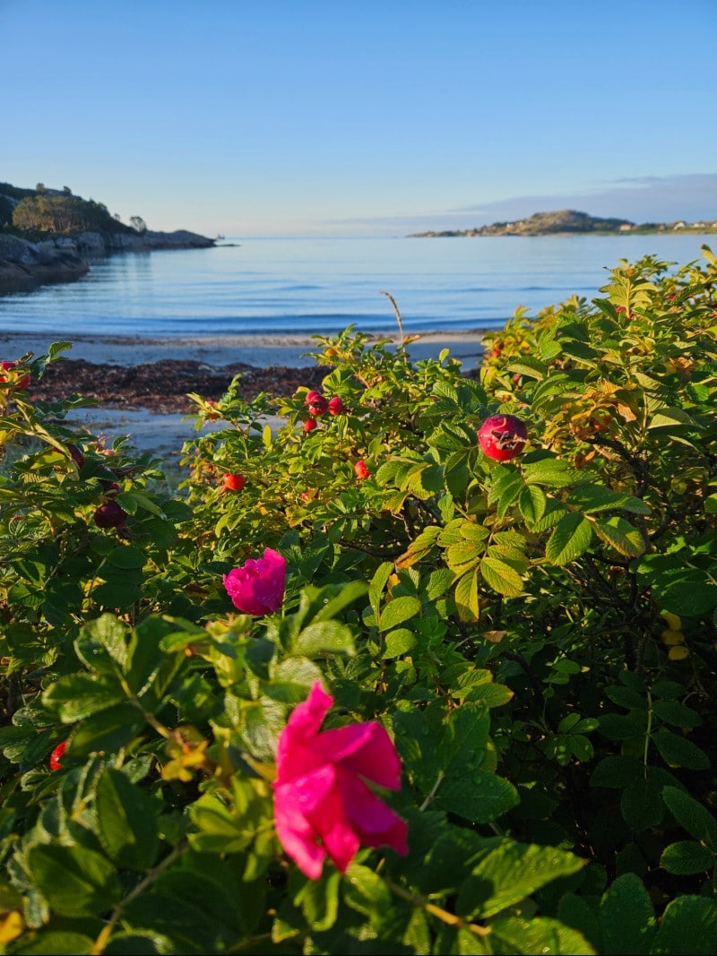 Beach near the accommodation