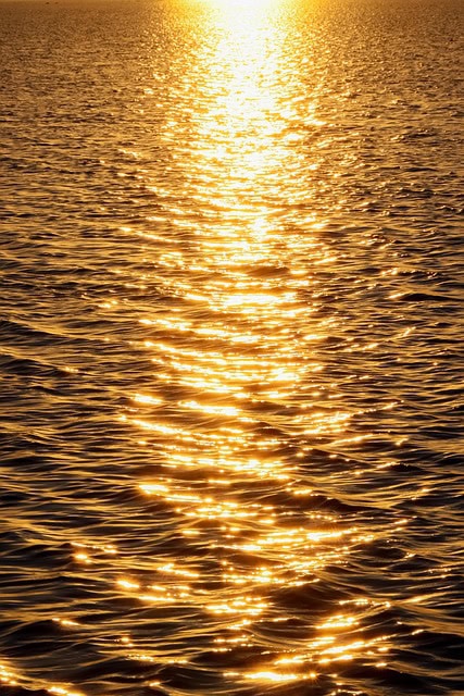 sunset-8424565_640